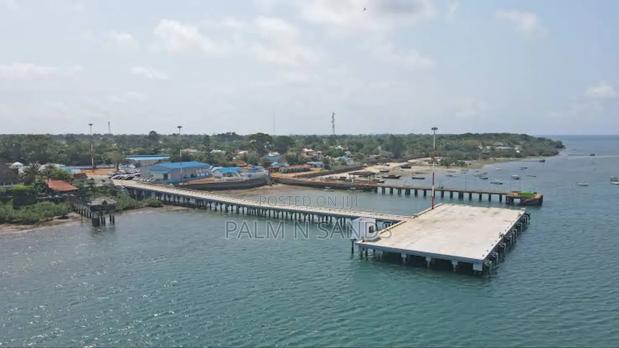 Shimoni Half Acre Beach Plot for Sale!! - thumbnail 8