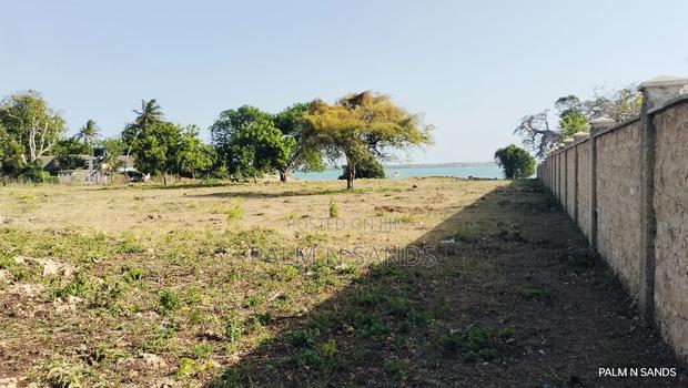 Shimoni Half Acre Beach Plot for Sale!! - thumbnail 9