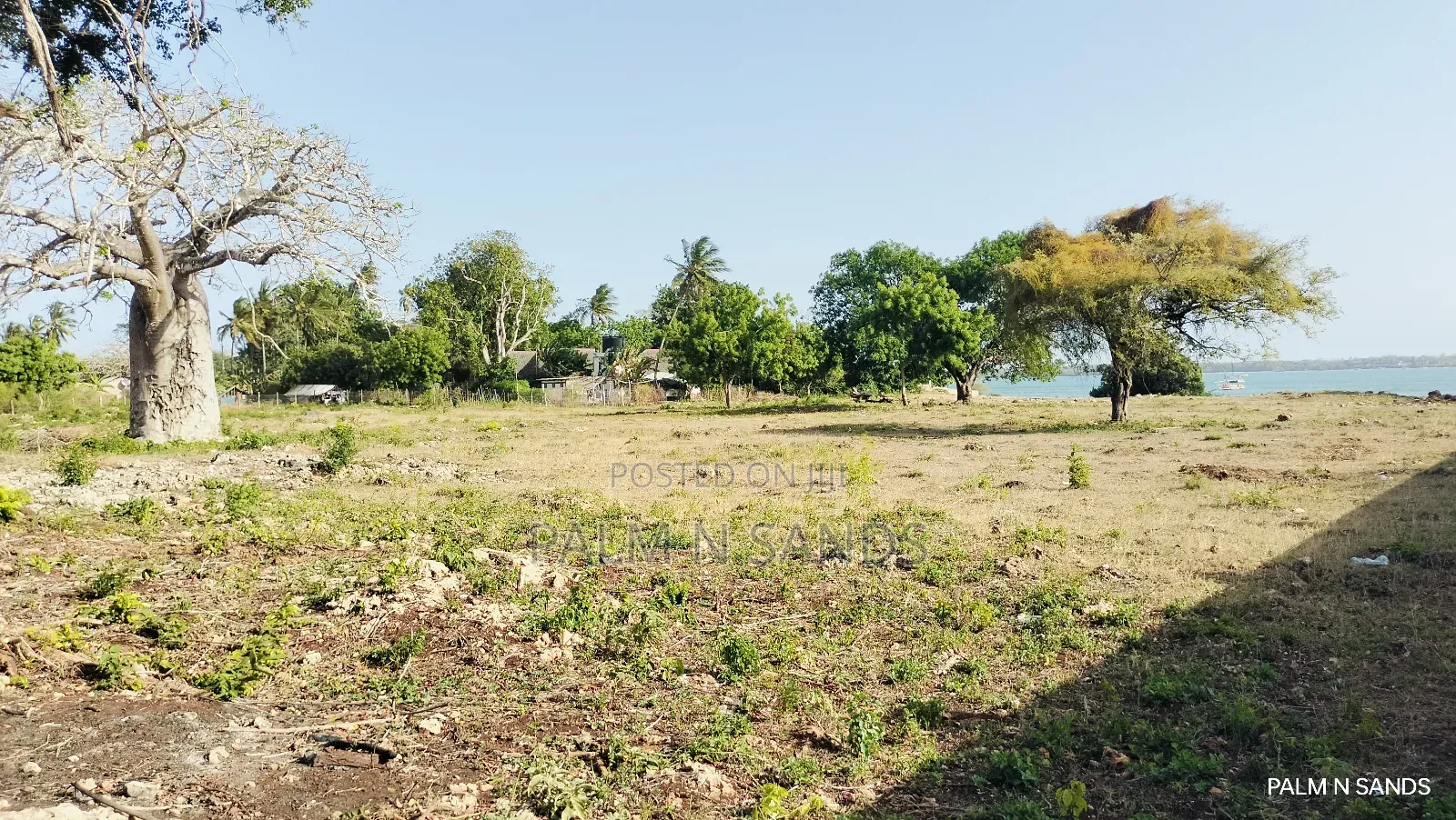 Shimoni Half Acre Beach Plot for Sale!!