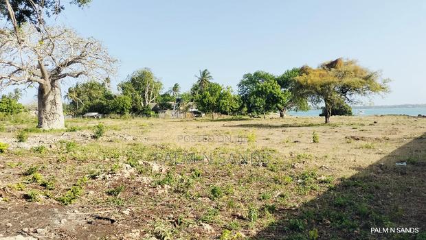 Shimoni Half Acre Beach Plot for Sale!! - thumbnail 10
