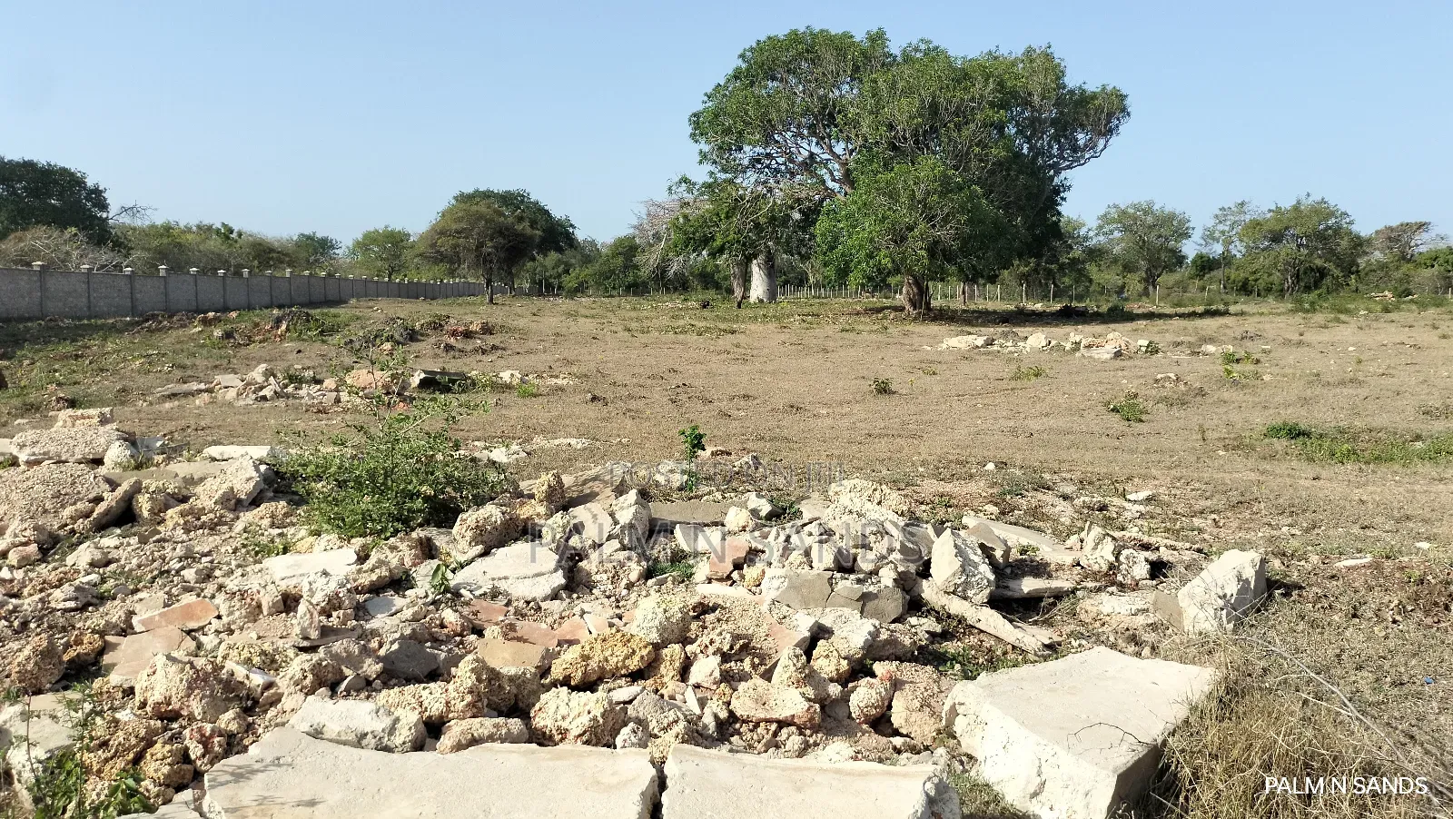 Shimoni Half Acre Beach Plot for Sale!!