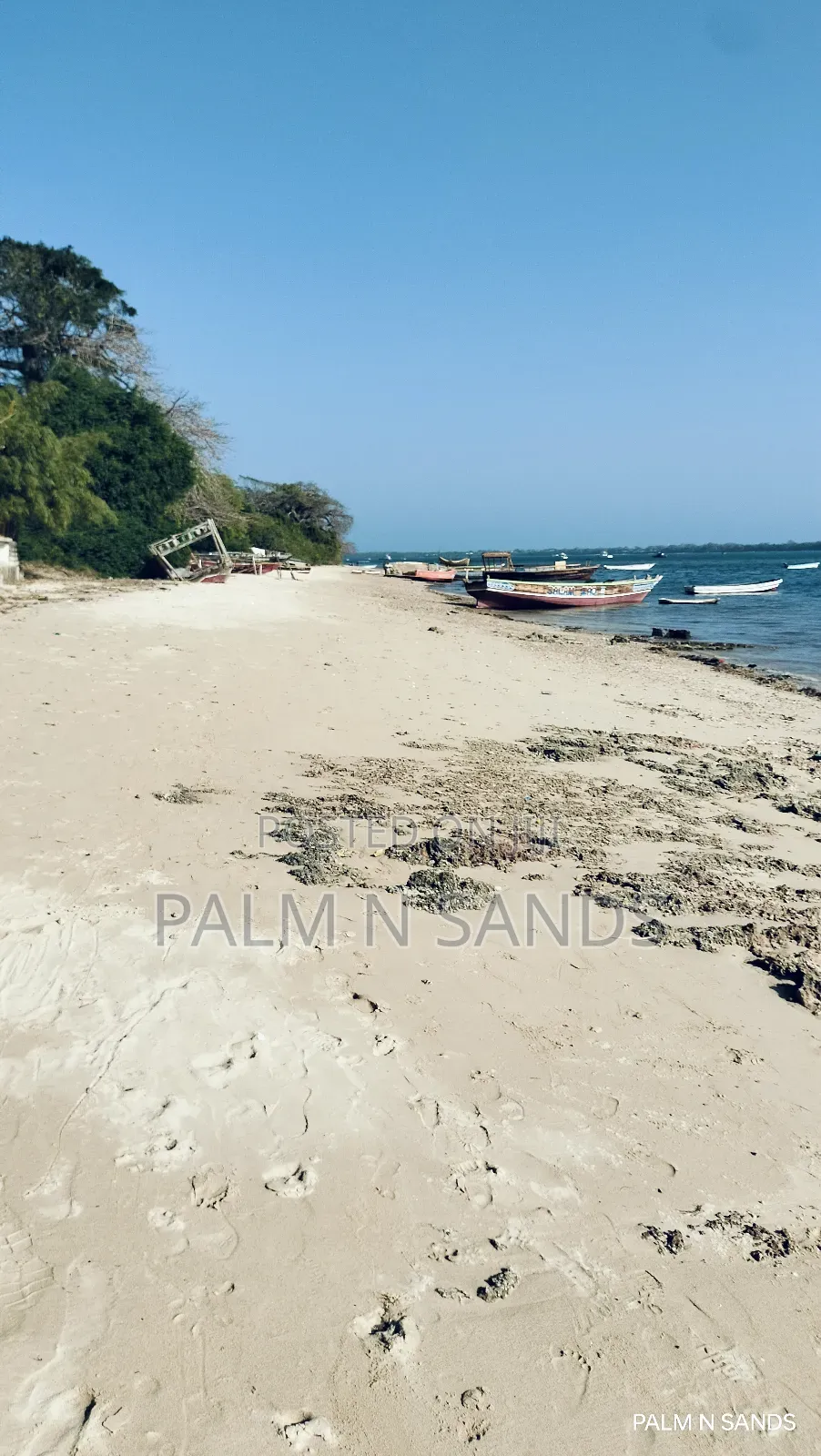 Shimoni Half Acre Beach Plot for Sale!!