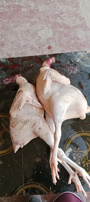 Improved Kienyeji Chicken for Sale