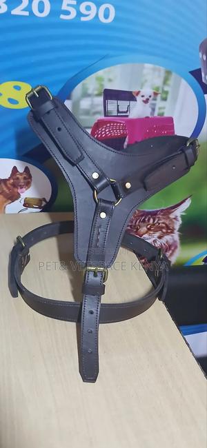 Leaher Dog Harness - thumbnail 2