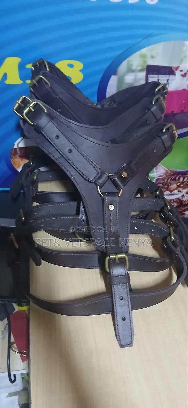 Leaher Dog Harness - thumbnail 3