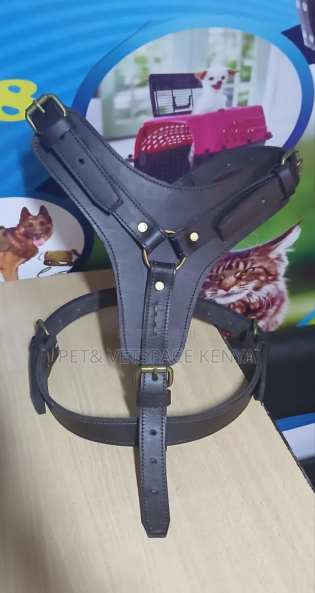 Leaher Dog Harness - thumbnail 5