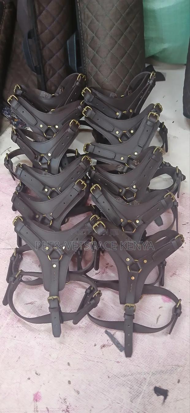 Leaher Dog Harness - thumbnail 6