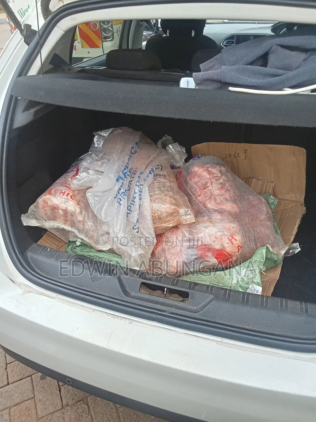 Dogs and Pets Food