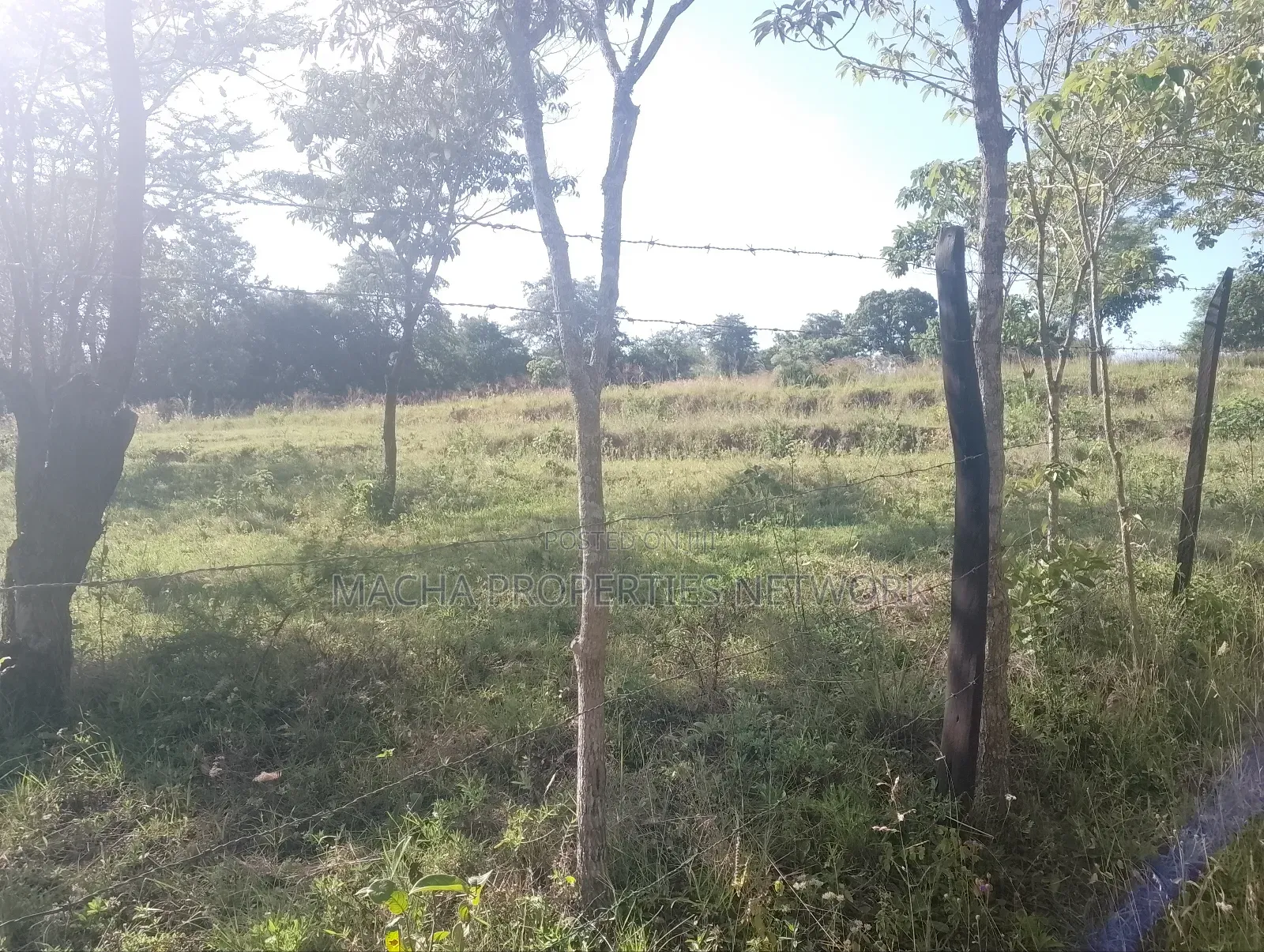 1 Acre for Sale Masii - Kithangathini