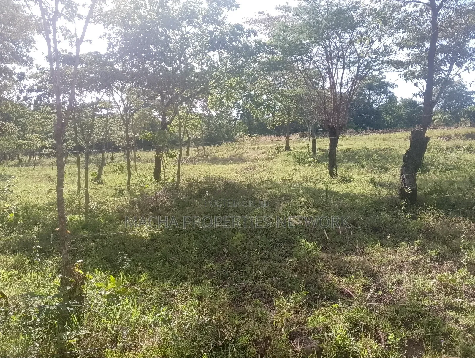 1 Acre for Sale Masii - Kithangathini