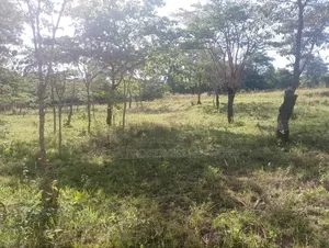1 Acre for Sale Masii - Kithangathini