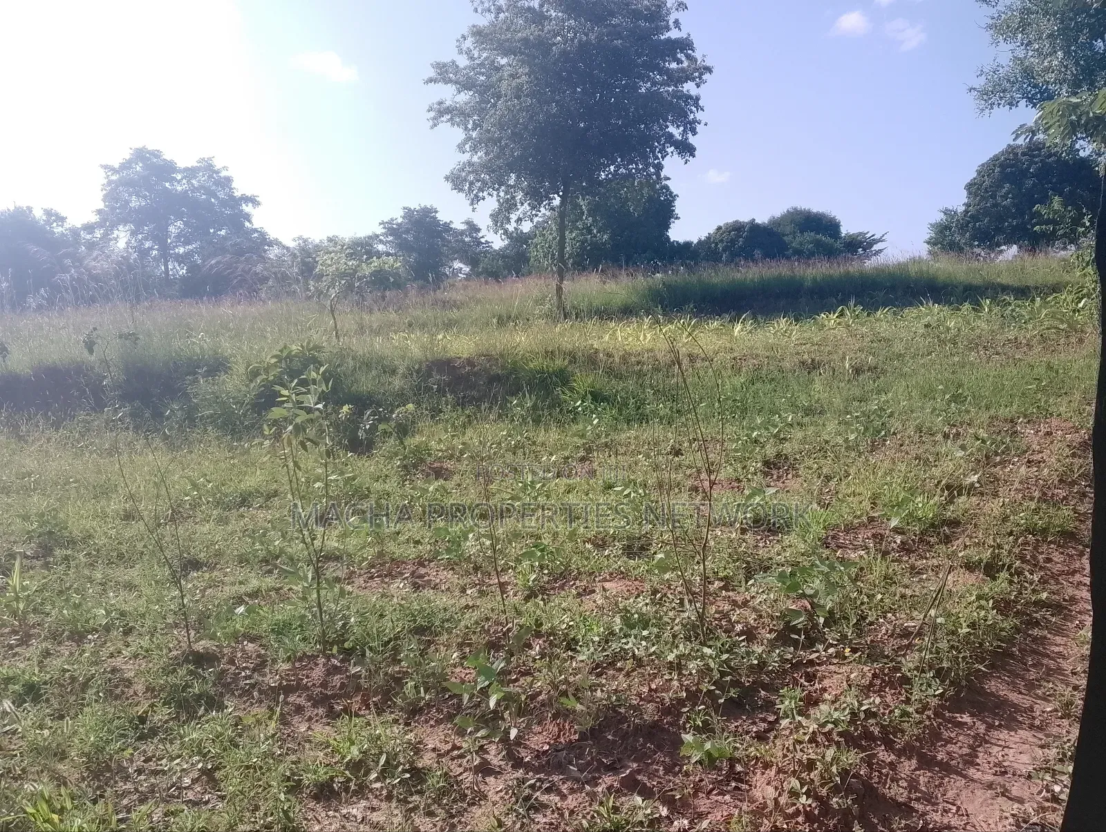 1 Acre for Sale Masii - Kithangathini