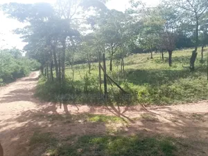 1 Acre for Sale Masii - Kithangathini
