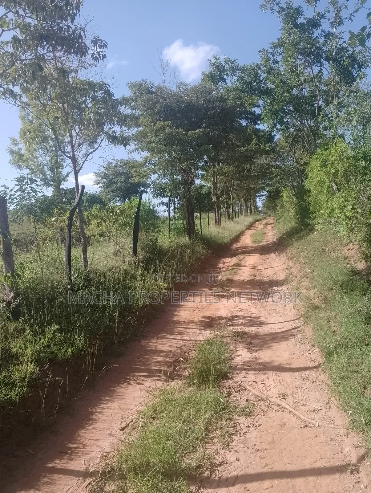1 Acre for Sale Masii - Kithangathini