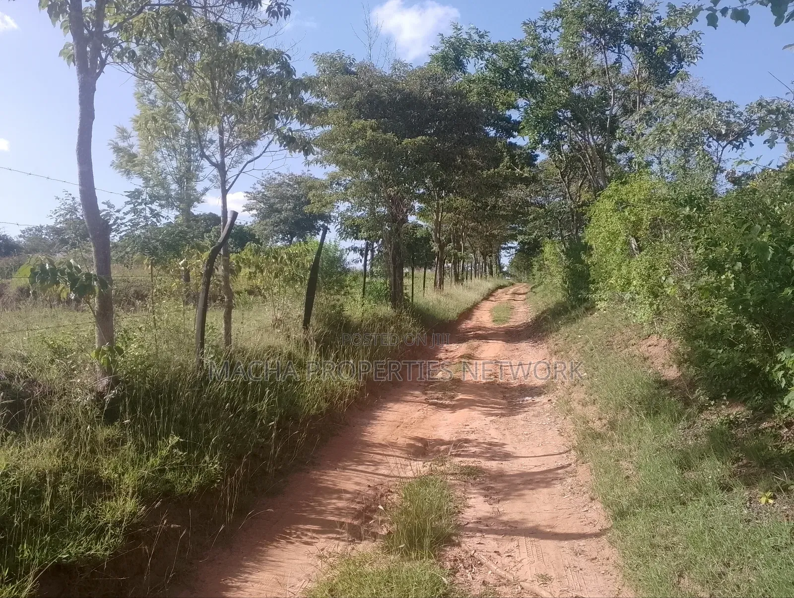 1 Acre for Sale Masii - Kithangathini