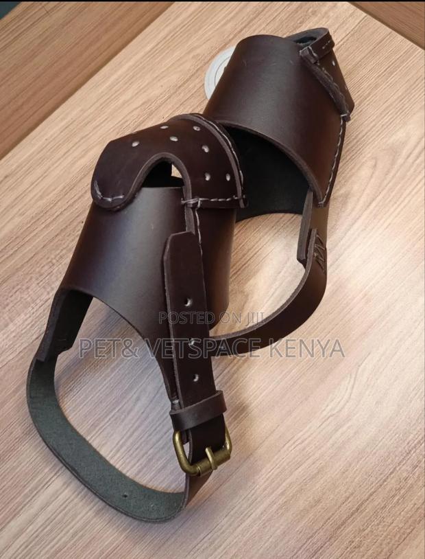Dog Muzzles