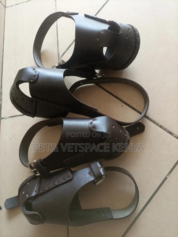 Dog Muzzles - thumbnail 2