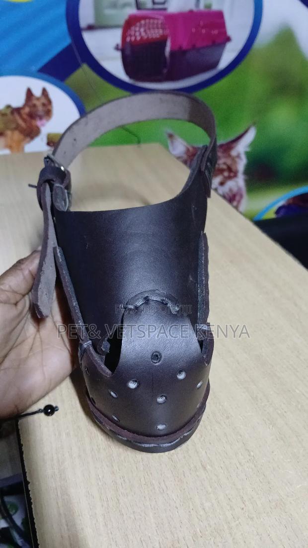 Dog Muzzles - thumbnail 4