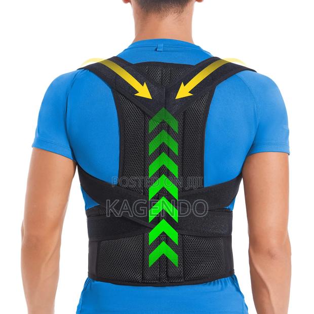 Lumbar Back Support – Relieve Back Pain Improve Posture - main view