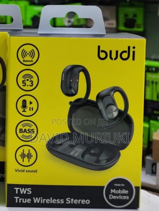 Budi Ep36b TWS True Wireless Stereo Earbuds - main view