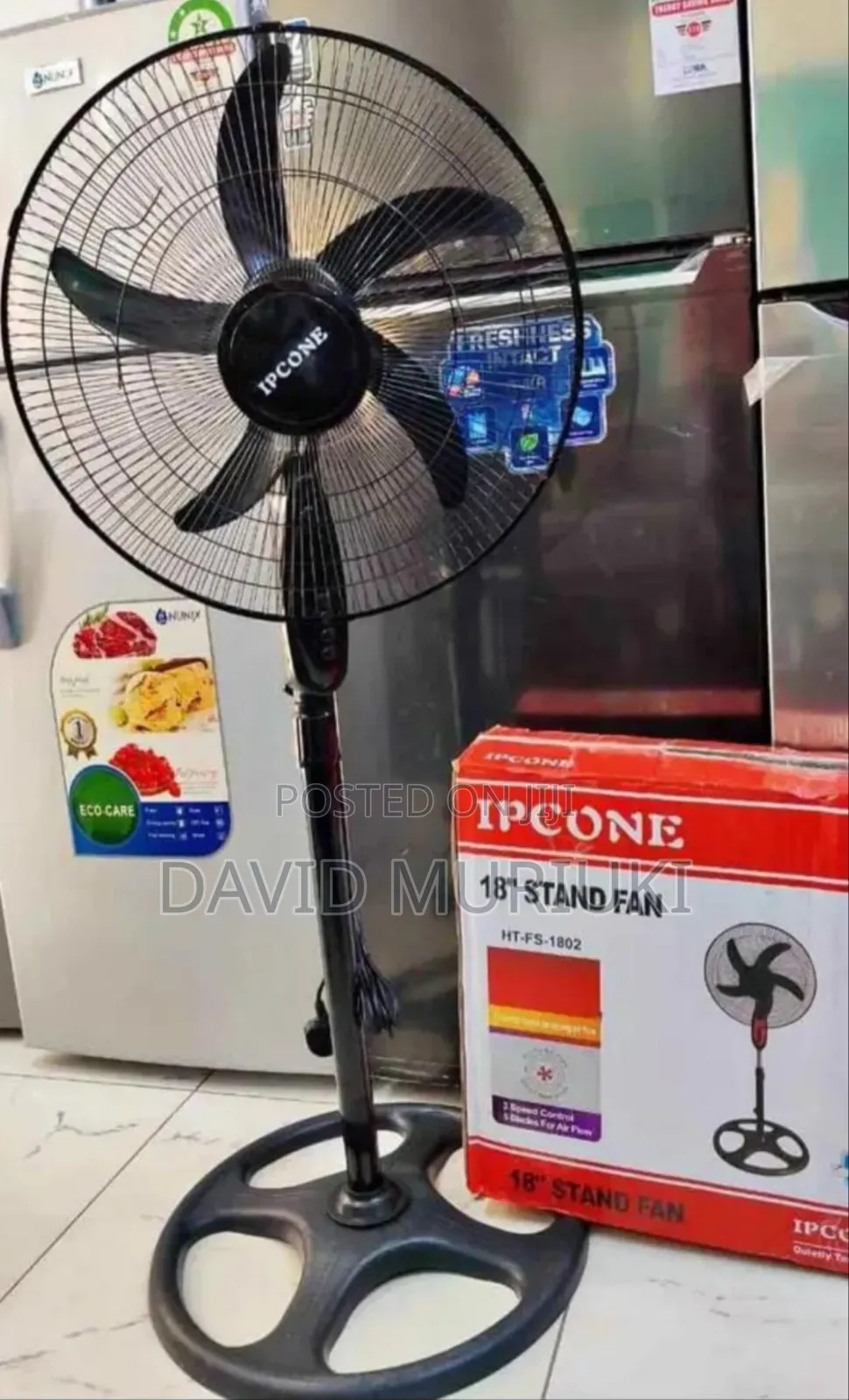 Ipcone 18 Inches Ipcone Standings Fans