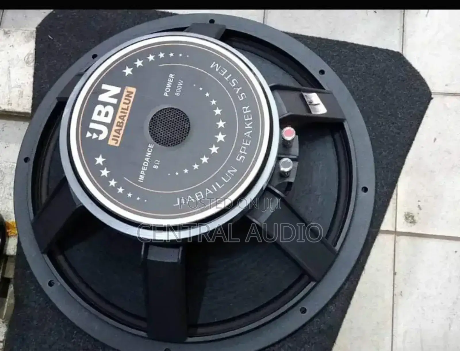 JBN 15inch Naked Speaker