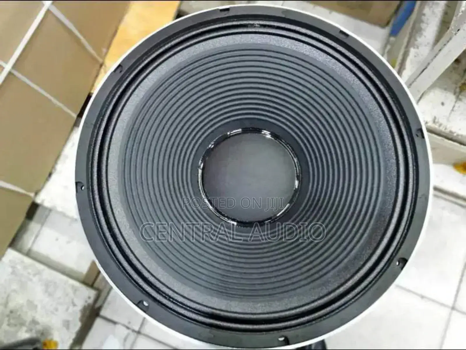 JBN 15inch Naked Speaker