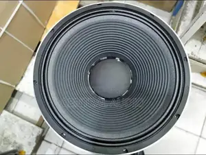JBN 15inch Naked Speaker