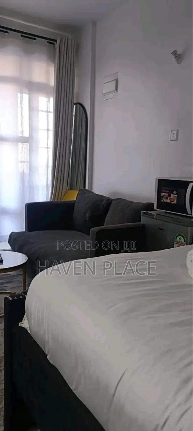 10days+ at 1600ksh Studio Airbnb Available at Tsavo , Lumumba Drive - thumbnail 5