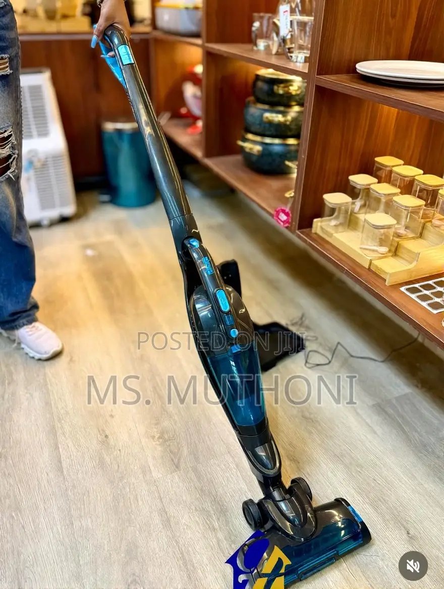 DSP Kd2048 Detachable 2-in-1 Cordless Vacuum Cleaner.