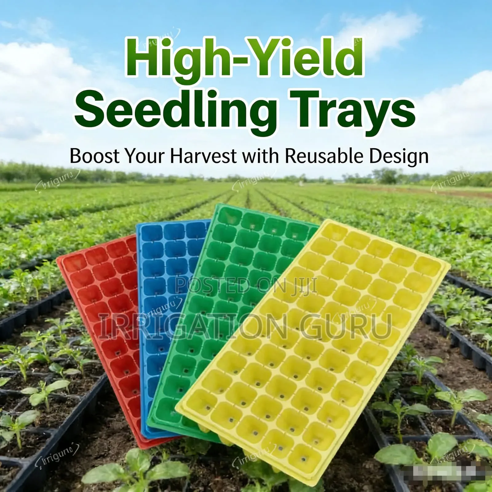 Best Seedling Trays for Your Crop