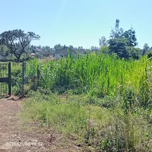 Half Are Plot Mugumo Estate
