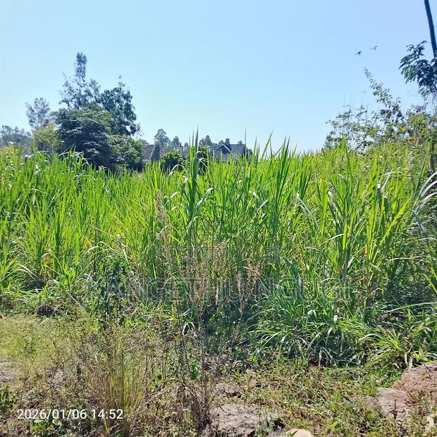Half Are Plot Mugumo Estate - thumbnail 2