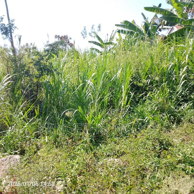 Half Are Plot Mugumo Estate - thumbnail 3