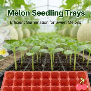 Seedling Trays For Melon Seeds - thumbnail 2