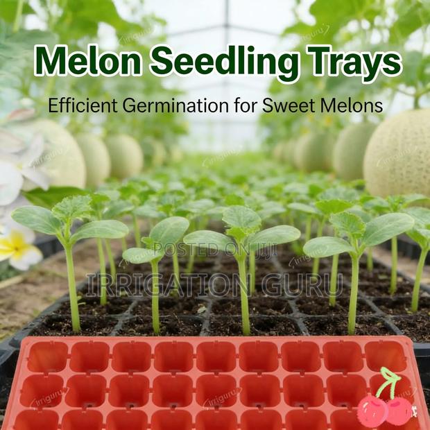 Seedling Trays For Melon Seeds - main view