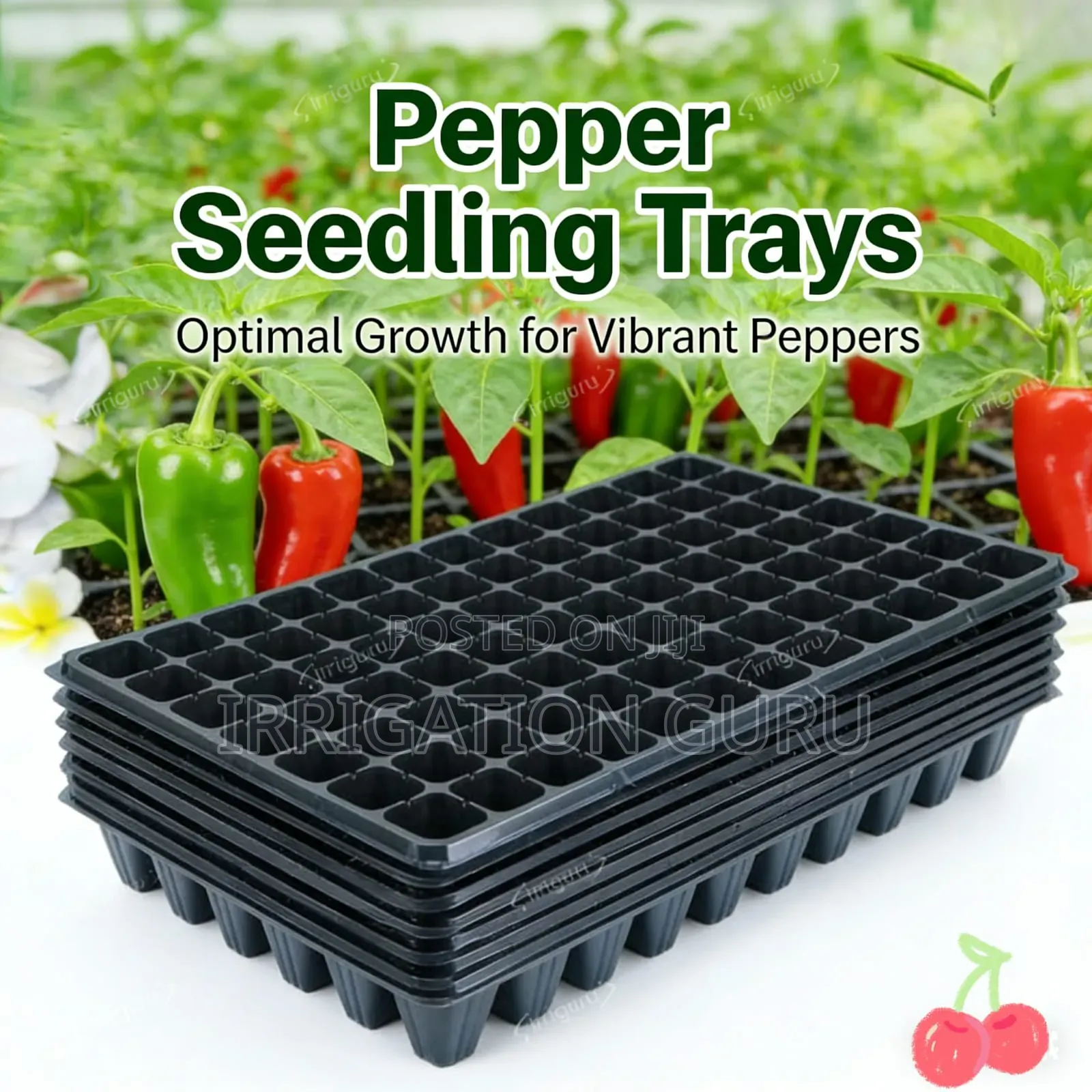Easy Growing Area for Pepper Seeds