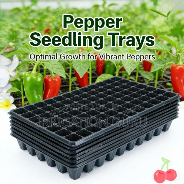 Easy Growing Area for Pepper Seeds - main view