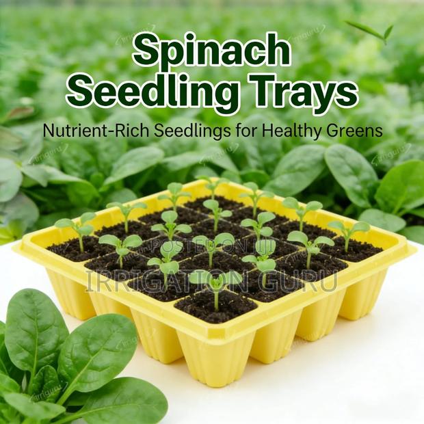 Spinach Tray For Farming - main view