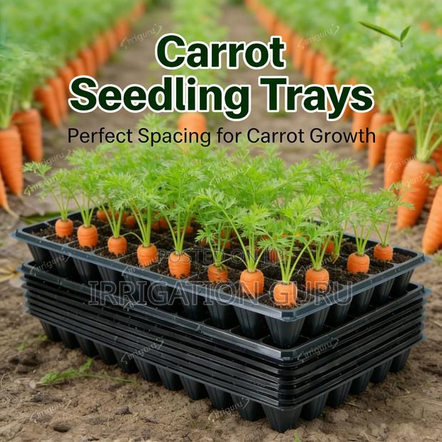 Carrot Tray For Plantation