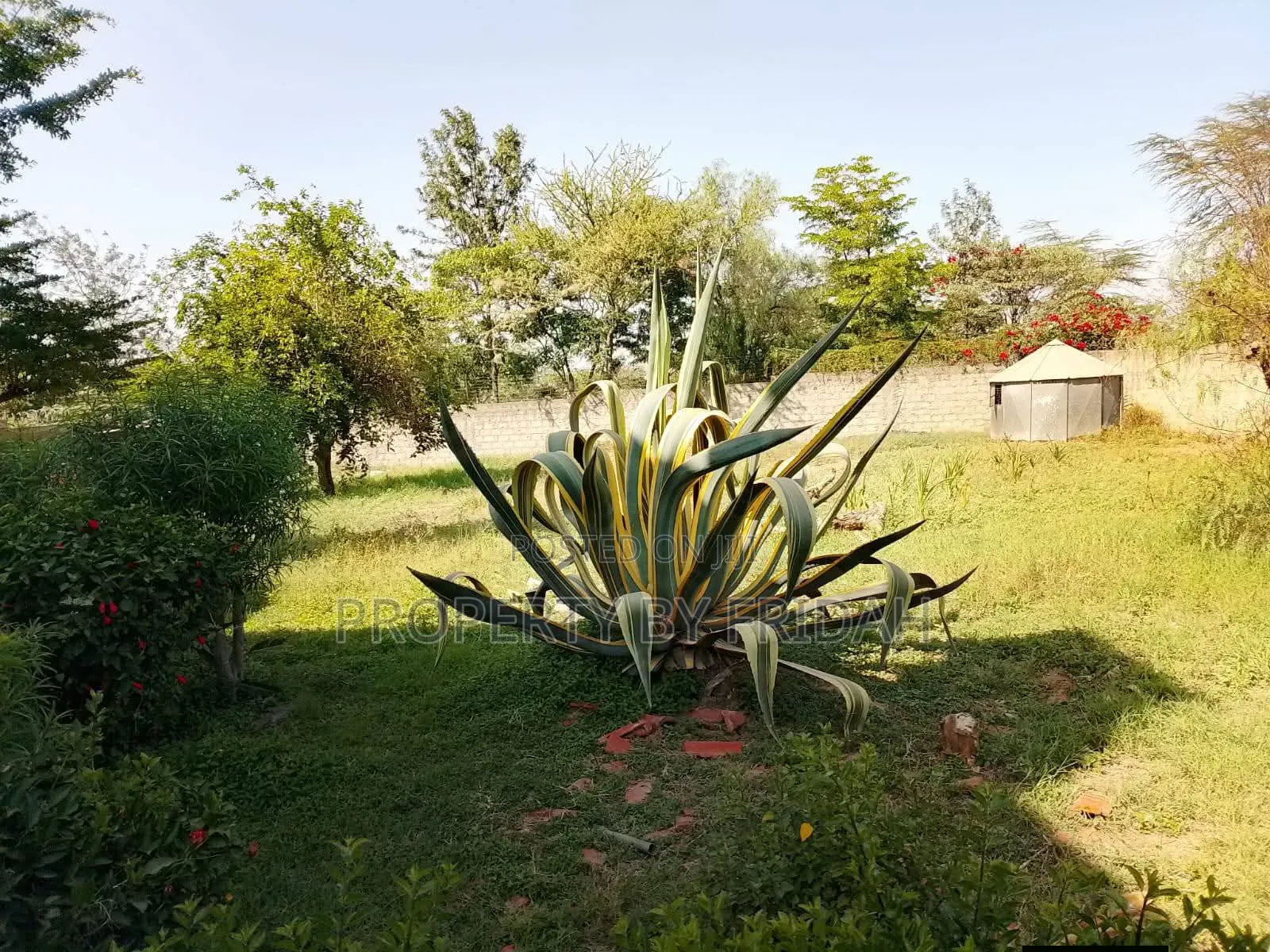5bdrm Maisonette in Athi River for rent