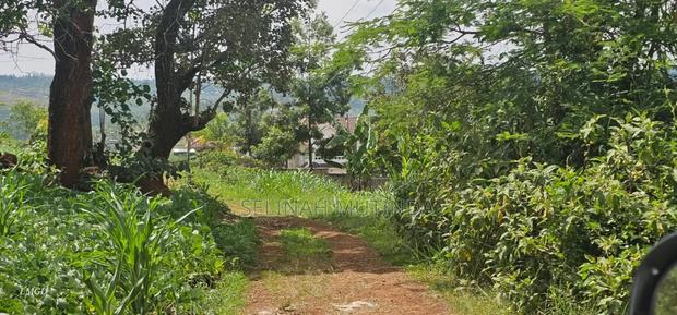 Kenol Kagaa Prime Plots - thumbnail 3
