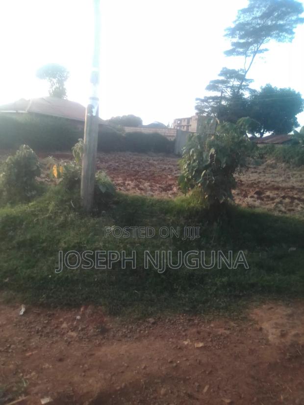 Kawaida Ebenezer Plot - thumbnail 3