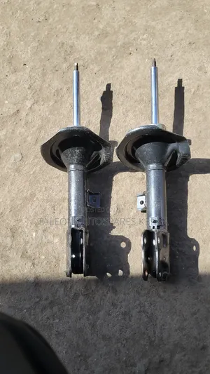 Mitsubishi Delica Shocks D4