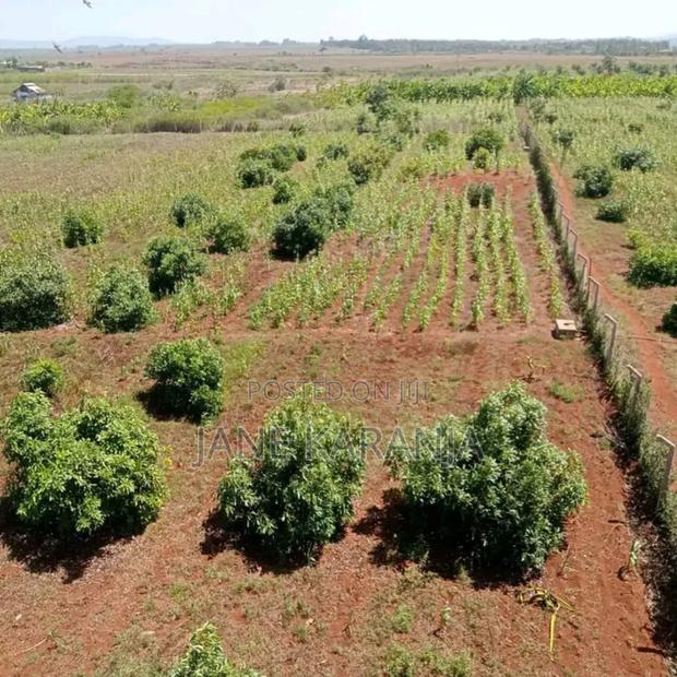 Thika Mitubiri 3blocks of 17acres,7.5acres and 7.5acres - main view