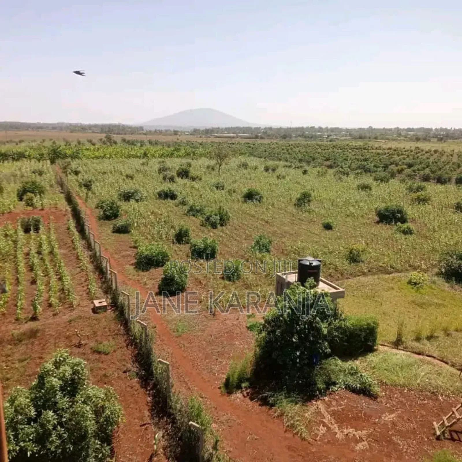 Thika Mitubiri 3blocks of 17acres,7.5acres and 7.5acres