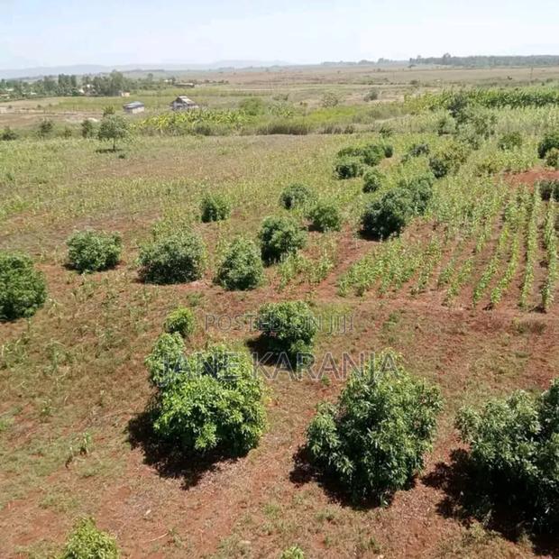 Thika Mitubiri 3blocks of 17acres,7.5acres and 7.5acres - thumbnail 10