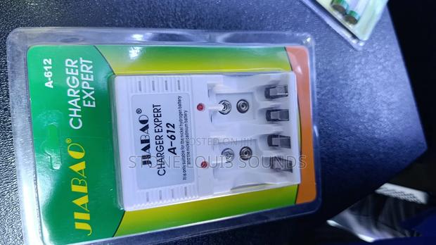 Rechargeable Batteries+ Charger - thumbnail 3