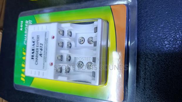 Rechargeable Batteries+ Charger - thumbnail 6