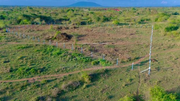 Prime Plot - main view